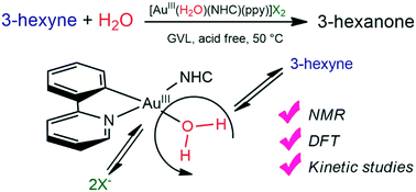 Graphical abstract: Hydration of alkynes catalyzed by [Au(X)(L)(ppy)]X in the green solvent γ-valerolactone under acid-free conditions: the importance of the pre-equilibrium step