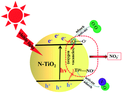 Graphical abstract: Oxygen vacancies enhance photocatalytic removal of NO over an N-doped TiO2 catalyst