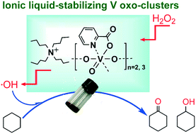Graphical abstract: Ionic liquid-stabilized vanadium oxo-clusters catalyzing alkane oxidation by regulating oligovanadates