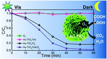 Graphical abstract: A strong hydrangea-like Au–TiO2 catalyst for round-the-clock degradation of oxalic acid in the presence of ozone