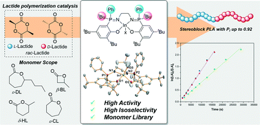 Graphical abstract: Indium phosphasalen catalysts showing high isoselectivity and activity in racemic lactide and lactone ring opening polymerizations