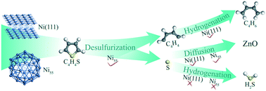 Graphical abstract: Density functional theory study of thiophene desulfurization and conversion of desulfurization products on the Ni(111) surface and Ni55 cluster: implication for the mechanism of reactive adsorption desulfurization over Ni/ZnO catalysts