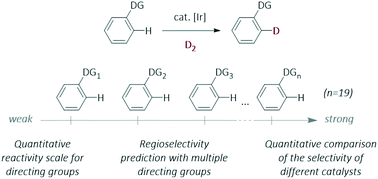Graphical abstract: A quantitative empirical directing group scale for selectivity in iridium-catalysed hydrogen isotope exchange reactions