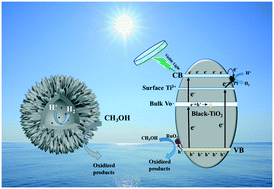 Graphical abstract: Boosting visible-light-driven catalytic hydrogen evolution via surface Ti3+ and bulk oxygen vacancies in urchin-like hollow black TiO2 decorated with RuO2 and Pt dual cocatalysts