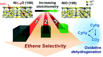 Graphical abstract: Tuning selectivity in nickel oxide-catalyzed oxidative dehydrogenation of ethane through control over non-stoichiometric oxygen density