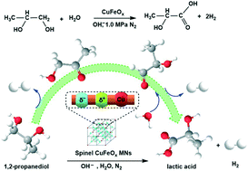 Graphical abstract: Spinel copper–iron-oxide magnetic nanoparticles with cooperative Cu(i) and Cu(ii) sites for enhancing the catalytic transformation of 1,2-propanediol to lactic acid under anaerobic conditions