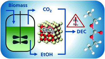 Graphical abstract: Catalytic CO2 esterification with ethanol for the production of diethyl carbonate using optimized CeO2 as catalyst