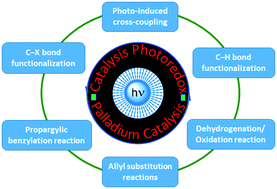 Graphical abstract: Cooperative photoredox and palladium catalysis: recent advances in various functionalization reactions