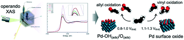 Graphical abstract: Chemisorbed oxygen or surface oxides steer the selectivity in Pd electrocatalytic propene oxidation observed by operando Pd L-edge X-ray absorption spectroscopy