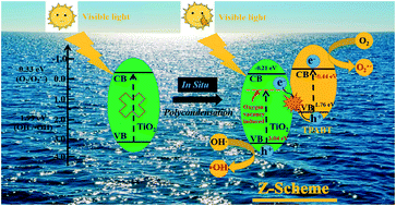 Graphical abstract: Oxygen vacancy-induced donor–acceptor-conjugated microporous poly(triphenylamine–benzothiadiazole)/TiO2 as a Z-scheme heterojunction photocatalyst towards a visible-light-driven degradation of bisphenol A