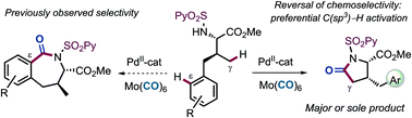 Graphical abstract: Mechanistic understanding enables chemoselective sp3 over sp2 C–H activation in Pd-catalyzed carbonylative cyclization of amino acids