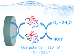 Graphical abstract: Cyclopentadienone–NHC iron(0) complexes as low valent electrocatalysts for water oxidation