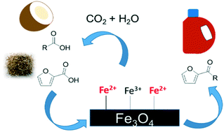 Graphical abstract: Production of renewable oleo-furan surfactants by cross-ketonization of biomass-derived furoic acid and fatty acids
