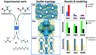 Graphical abstract: Dehydration of butanol towards butenes over MFI, FAU and MOR: influence of zeolite topology