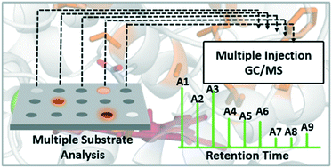 Graphical abstract: Simultaneous screening of multiple substrates with an unspecific peroxygenase enabled modified alkane and alkene oxyfunctionalisations