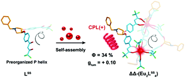 Graphical abstract: Preorganized helical chirality controlled homochiral self-assembly and circularly polarized luminescence of a quadruple-stranded Eu2L4 helicate