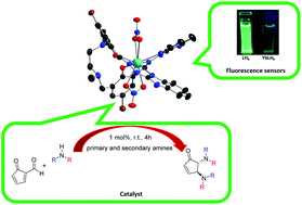 Graphical abstract: A designed and potentially decadentate ligand for use in lanthanide(iii) catalysed biomass transformations: targeting diastereoselective trans-4,5-diaminocyclopentenone derivatives