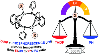 Graphical abstract: New Cu(i) halide complexes showing TADF combined with room temperature phosphorescence: the balance tuned by halogens
