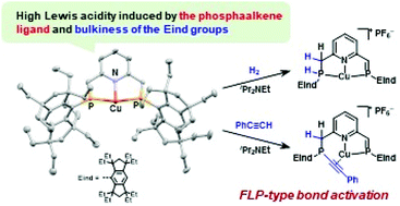 Graphical abstract: Cu(i) complex bearing a PNP-pincer-type phosphaalkene ligand with a bulky fused-ring Eind group: properties and applications to FLP-type bond activation and catalytic CO2 reduction