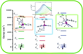 Graphical abstract: Influence of ligand field on magnetic anisotropy in a family of pentacoordinate CoII complexes