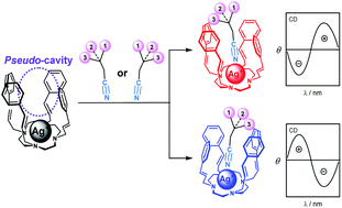 Graphical abstract: Inclusion of alkyl nitriles by tetra-armed cyclens with styrylmethyl groups