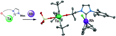 Graphical abstract: Lability of Ta–NHC adducts as a synthetic route towards heterobimetallic Ta/Rh complexes