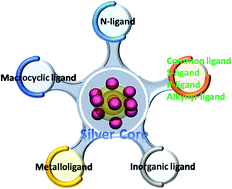 Graphical abstract: New protective ligands for atomically precise silver nanoclusters