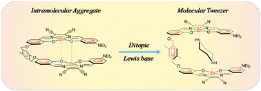 Graphical abstract: Dinuclear zinc(ii) salen-type Schiff-base complexes as molecular tweezers