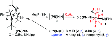 Graphical abstract: Synthetic investigations of low-coordinate (N-phosphino-amidinate) nickel chemistry: agostic alkyl complexes and benzene insertion into Ni–H