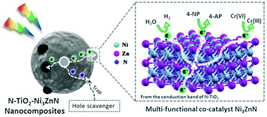 Graphical abstract: A size tunable bimetallic nickel-zinc nitride as a multi-functional co-catalyst on nitrogen doped titania boosts solar energy conversion