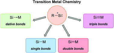 Graphical abstract: Lewis base-stabilized silyliumylidene ions in transition metal coordination chemistry