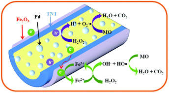 Graphical abstract: Photo-reduction enables catalyst regeneration in Fenton reaction on an Fe2O3-decorated TiO2 nanotube-based photocatalyst