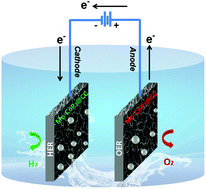 Graphical abstract: Hierarchical Mo-doped CoP3 interconnected nanosheet arrays on carbon cloth as an efficient bifunctional electrocatalyst for water splitting in an alkaline electrolyte
