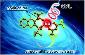 Graphical abstract: Electronic strain effect on Eu(iii) complexes for enhanced circularly polarized luminescence