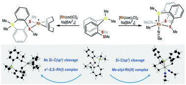 Graphical abstract: Si–C(sp3) bond activation through oxidative addition at a Rh(i) centre