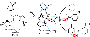 Graphical abstract: Efficient alkane hydroxylation catalysis of nickel(ii) complexes with oxazoline donor containing tripodal tetradentate ligands