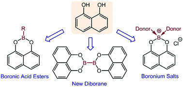 Graphical abstract: Boronic, diboronic and boric acid esters of 1,8-naphthalenediol – synthesis, structure and formation of boronium salts