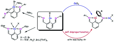 Graphical abstract: Bis(imino)aryl NCN pincer cobalt complexes: synthesis and disproportionation