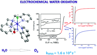 Graphical abstract: Redox-active ligand assisted electrocatalytic water oxidation by a mononuclear cobalt complex