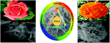 Graphical abstract: Exploring the synergistic effect of NixSn2xS4x thiospinel with MWCNTs for enhanced performance in dye-sensitized solar cells, the hydrogen evolution reaction, and supercapacitors
