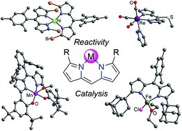 Graphical abstract: Dipyrrin based metal complexes: reactivity and catalysis