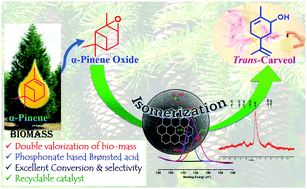 Graphical abstract: Phosphonate functionalized carbon spheres as Brønsted acid catalysts for the valorization of bio-renewable α-pinene oxide to trans-carveol