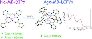 Graphical abstract: Rigid, yet flexible: formation of unprecedented silver MB-DIPY dimers with orthogonal chromophore geometry