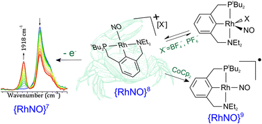 Graphical abstract: Synthesis, structure and reactivity of NO+, NO˙ and NO− pincer PCN-Rh complexes