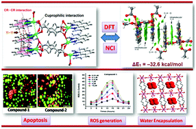 Graphical abstract: Adipato bridged novel hexanuclear Cu(ii) and polymeric Co(ii) coordination compounds involving cooperative supramolecular assemblies and encapsulated guest water clusters in a square grid host: antiproliferative evaluation and theoretical studies