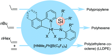 Graphical abstract: Pyridylamido hafnium complexes with a silylene bridge: synthesis and olefin polymerization