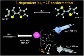 Graphical abstract: Luminescent lanthanide complexes with a pyridine-bis(carboxamide)-bithiophene sensitizer showing wavelength-dependent singlet oxygen generation