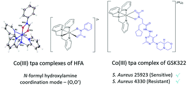 Graphical abstract: Synthesis and characterisation of Co(iii) complexes of N-formyl hydroxylamines and antibacterial activity of a Co(iii) peptide deformylase inhibitor complex