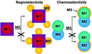 Graphical abstract: Molecular-like selectivity emerges in nanocrystal chemistry