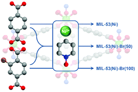 Graphical abstract: The introduction of functional side groups and the application of the mixed-linker concept in divalent MIL-53(Ni) materials